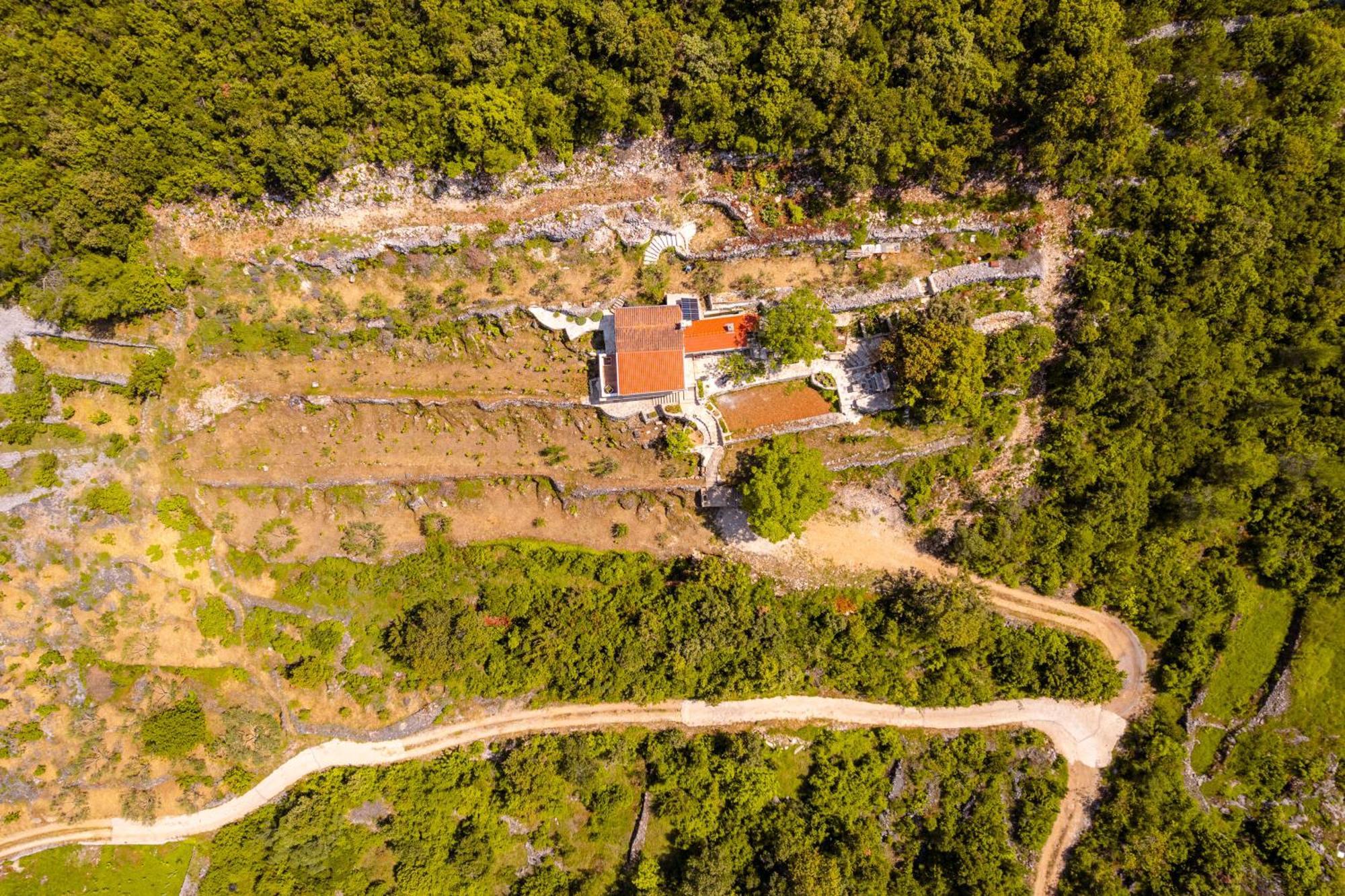 Meadow Hill Zrnovo