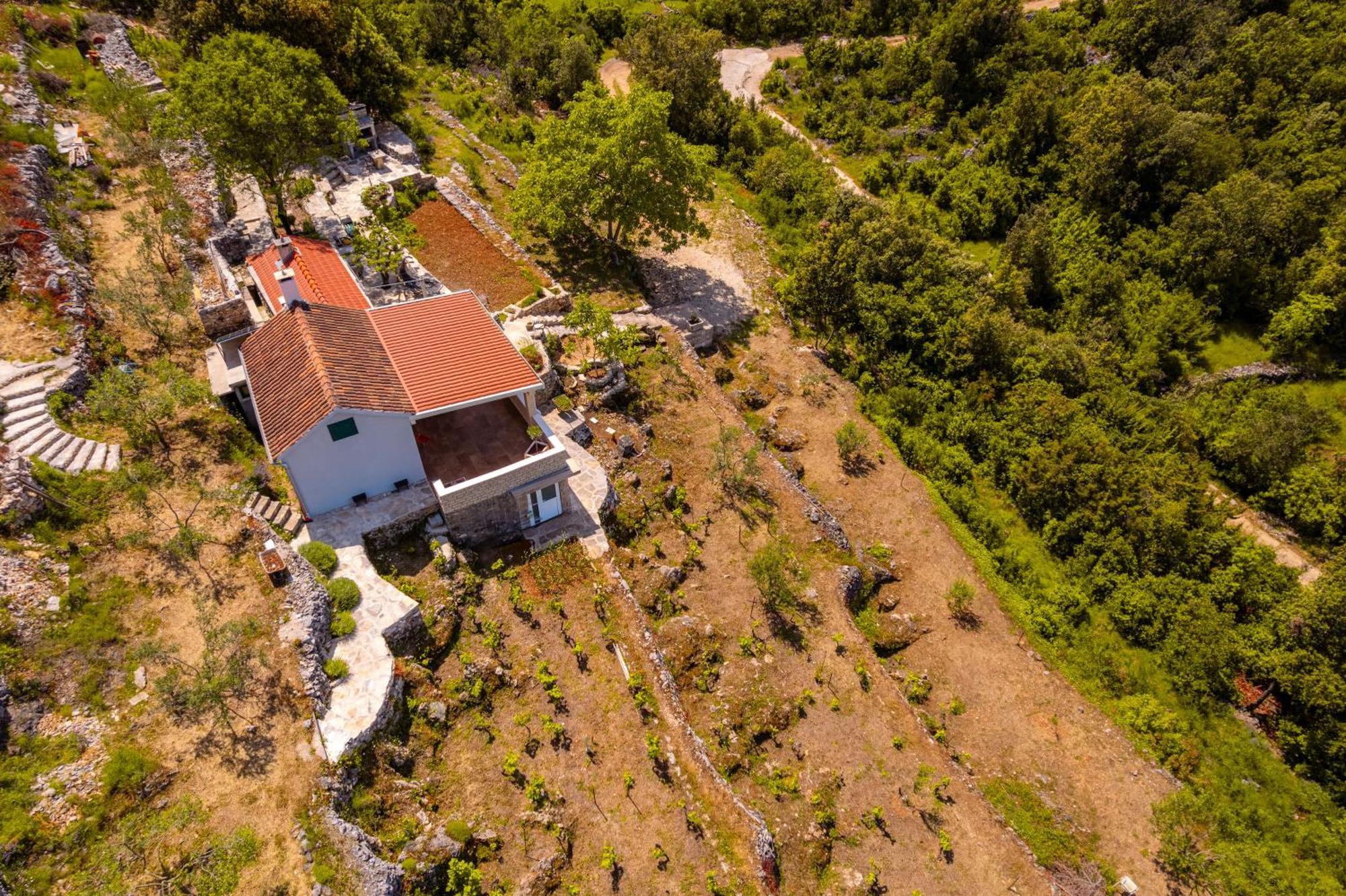 Meadow Hill * Zrnovo